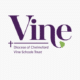 New Vine Schools Trust Logo