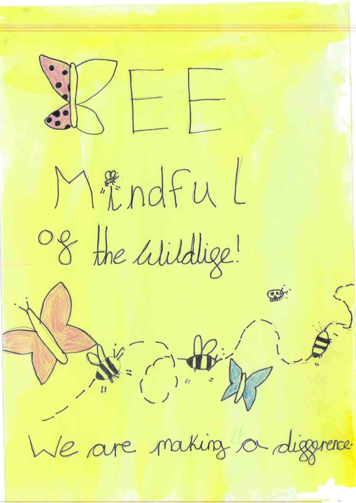 Poster created by Colne Engaine C of E Primary School pupil for the Rewilding Project