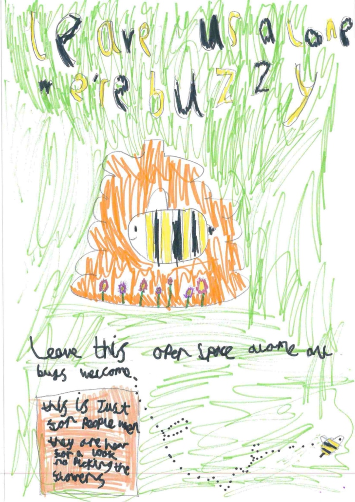 Poster created by Colne Engaine C of E Primary School pupil for the Rewilding Project